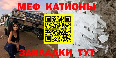 сатива Заводоуковск
