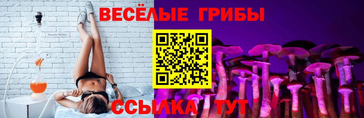 Галлюциногенные грибы GOLDEN TEACHER Елизово